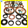 Guide Ring Pneumatic Seal & Hydraulic Rod Seal